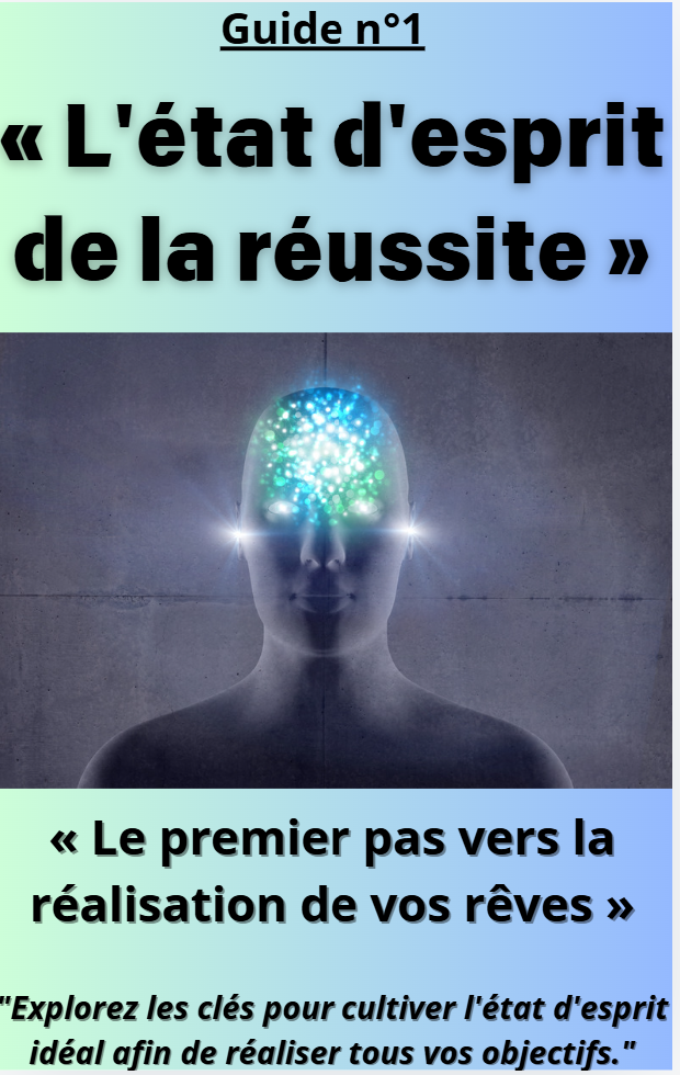 Guida 1 : La mentalità del successo.