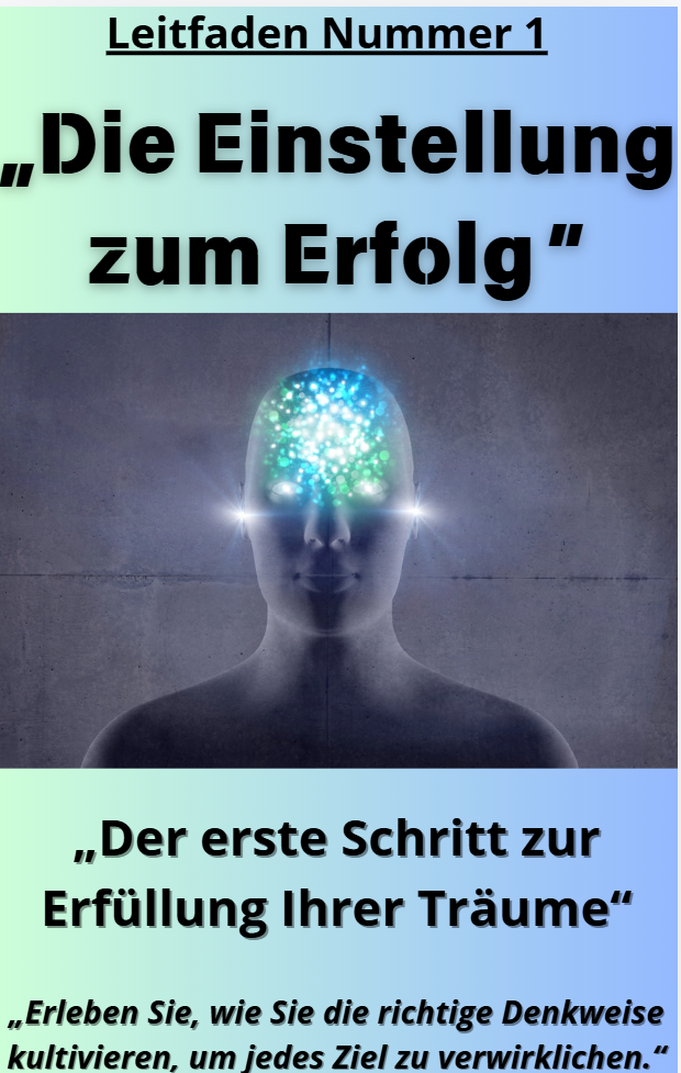 Guida 1 : La mentalità del successo.